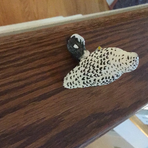 Snowy owl - Picture 2 of 2